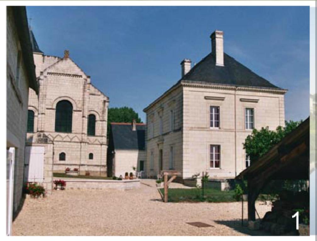 Domaine Du Heron Chinon Exterior foto